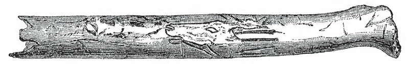 Bruniquel carved image