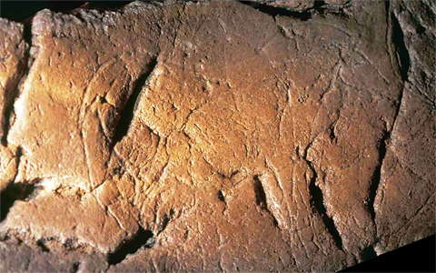Cueva del Buxu horse