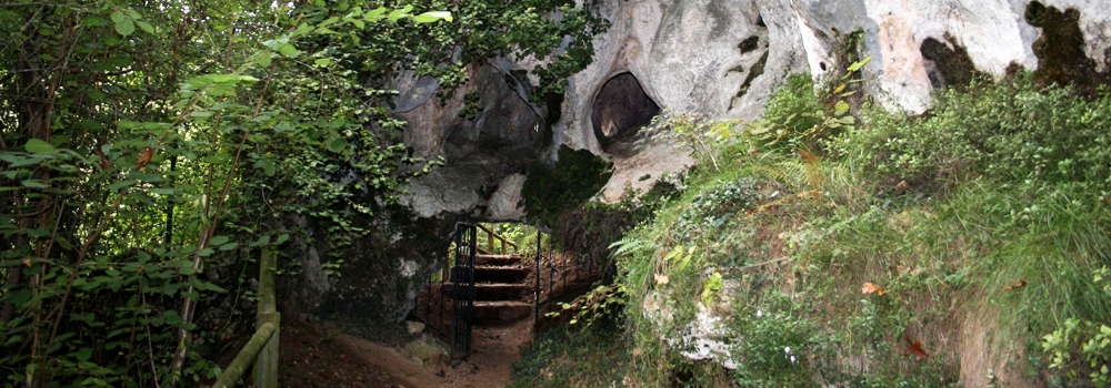 Cueva de El Mirón