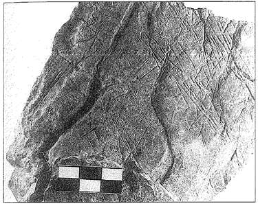Cueva del Buxu engraved rock 
