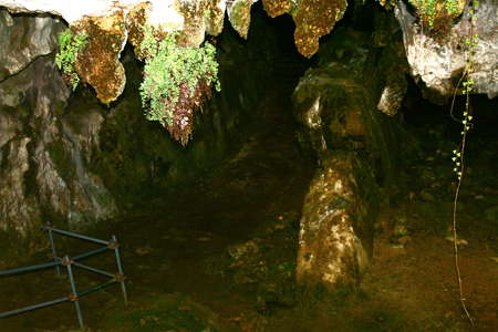 Cueva del Pindal interior
