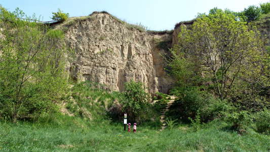 cliff line dig
