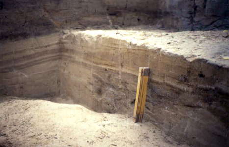 dolni vestonice III excavation