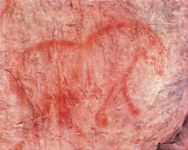 Kapova Cave Mammoth painting