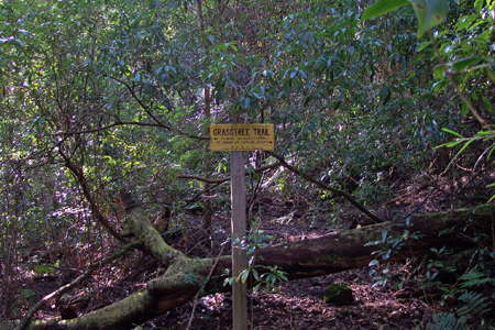 Grass Tree Ridge