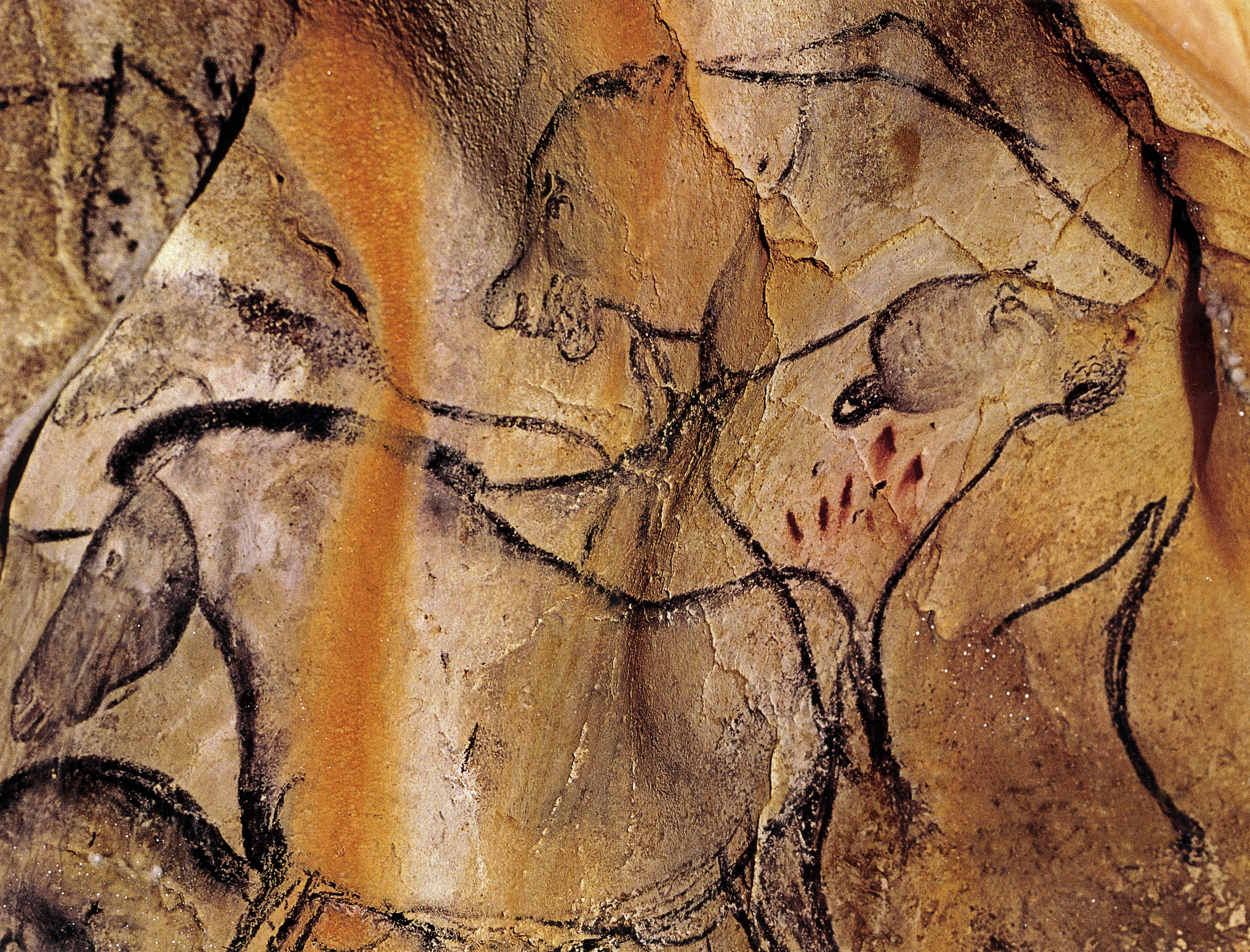 Краски известны человечеству с первобытных времен. Пещера Шове пещерный Лев. Пещера Шове наскальные рисунки. Пещера Шове Франция наскальные рисунки. Первобытное искусство пещера Шове.