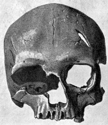 Cro-Magnon female skull