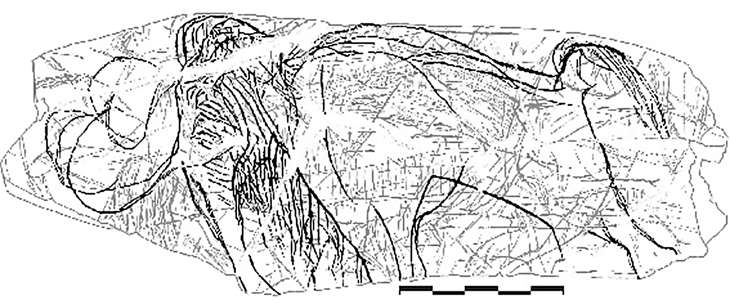 mammoth engraving