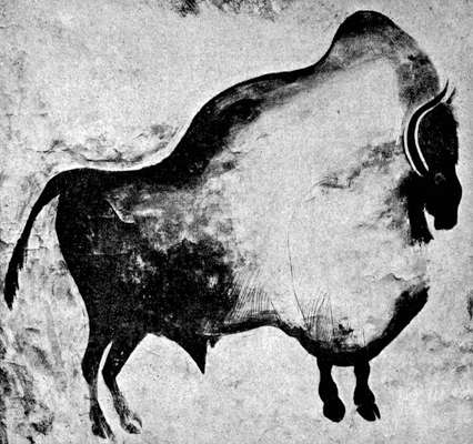 Standing Bison Font de Gaume