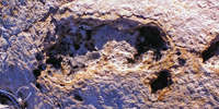 fossilised human footprints