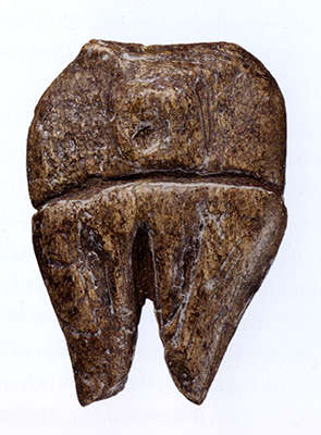 female pottery torsos
