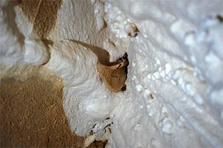 Tuc d'Audoubert bone fragment