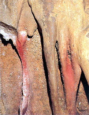 Font de Gaume vulva