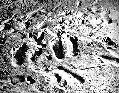   Tuc d'Audoubert - footprints