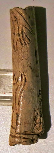 magdalenian  engraving