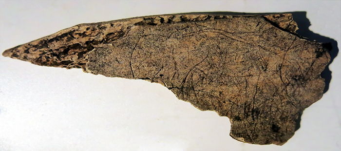 magdalenian  engraving horse
