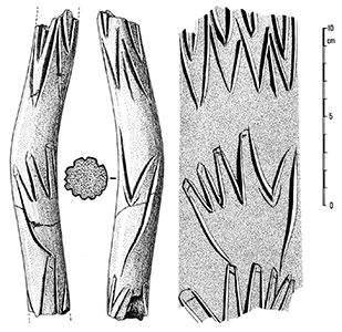 magdalenian  engraving