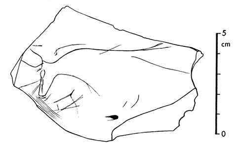 magdalenian  engraving aurochs