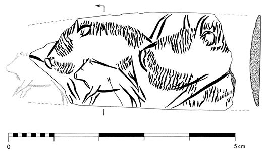 magdalenian  engraving bison