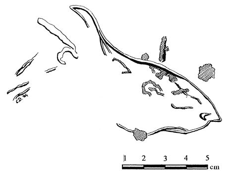 Abri La Souquette engraved saiga antelope