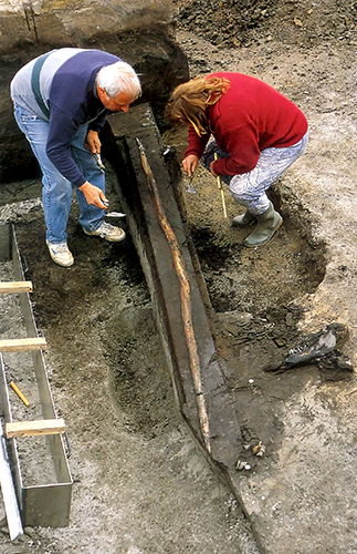 spear in situ on discovery