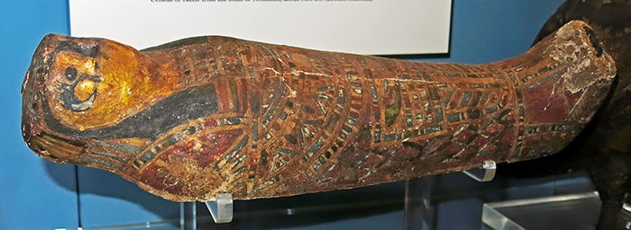  mummy of a falcon
