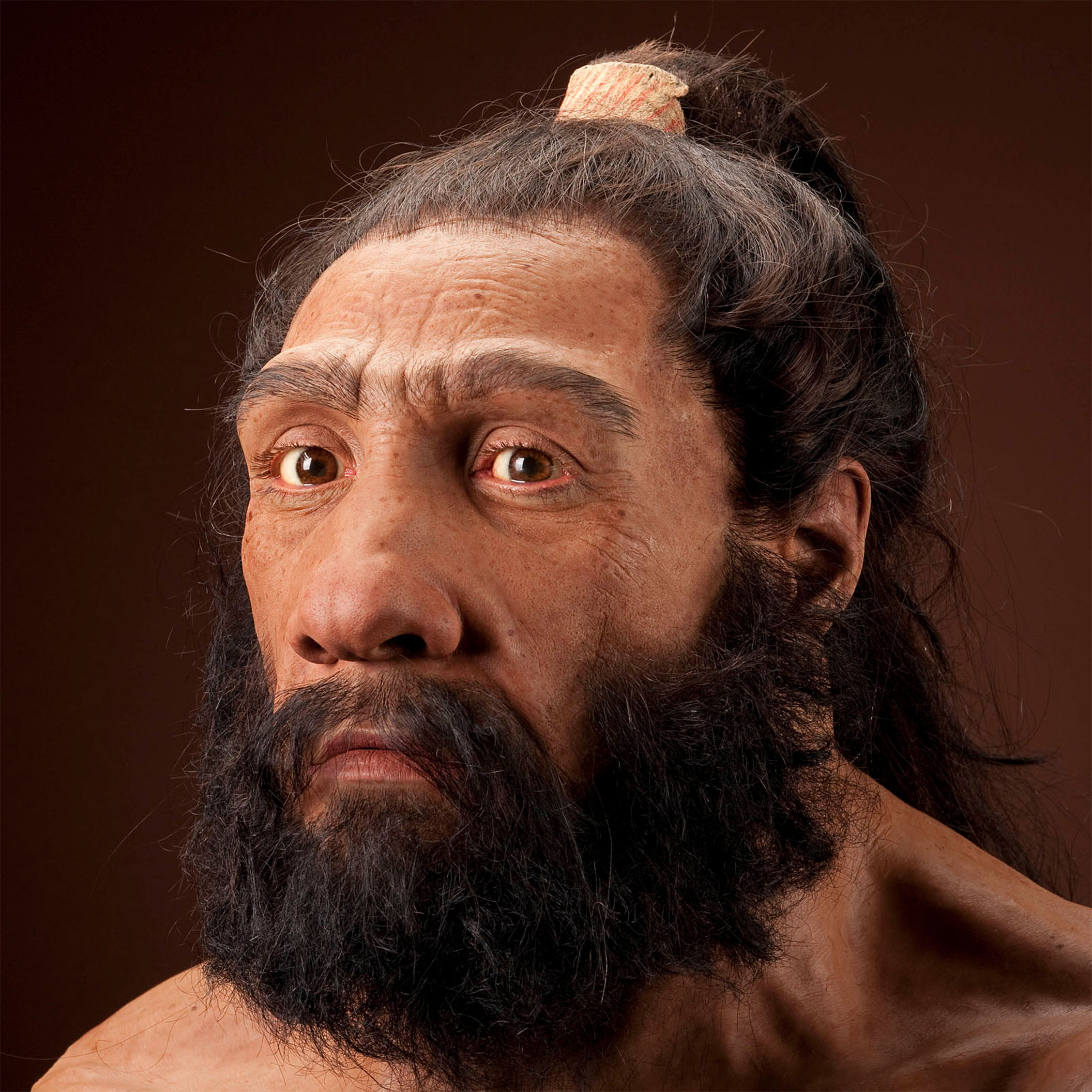 Неандерталец и хомо сапиенс
