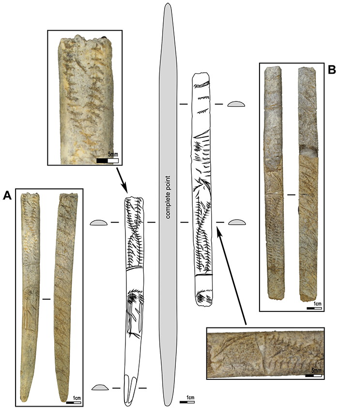 baguette demi ronde construction