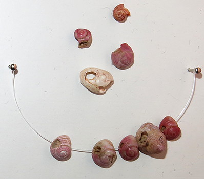 Gonnersdorf necklace  shells