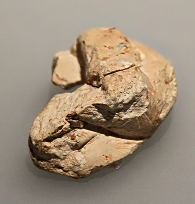 Venus  fragment  Kostenki