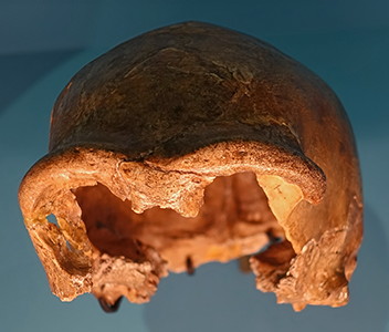 Spy skull 