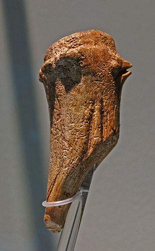 Andernach Bird