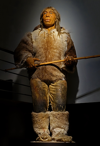   neanderthal