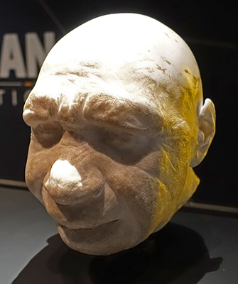 forbes quarry neanderthal
