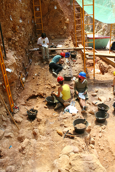 excavationelefante2gsm 