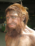img_1127spyneanderthalsmlink1
