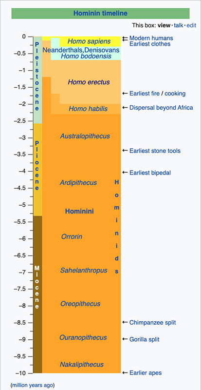 timelinehomininwikipediasm