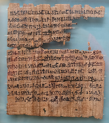 DSC01651papyrussm