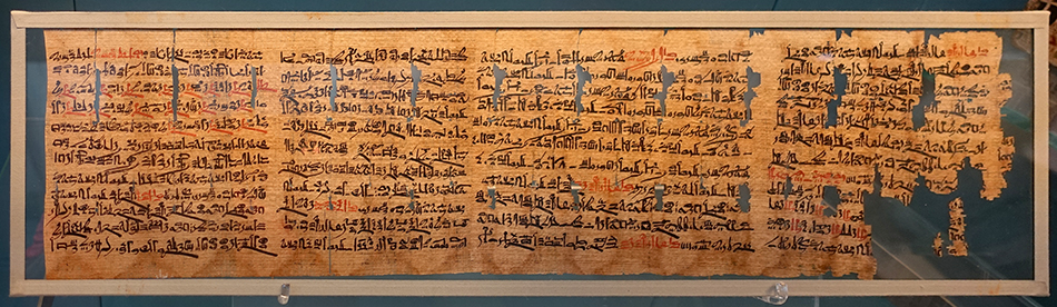 DSC01709papyrussm