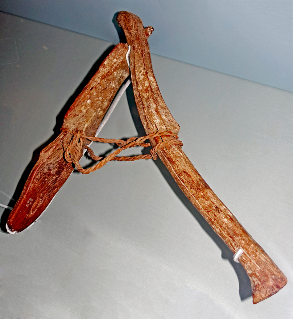 DSC02355_netsm