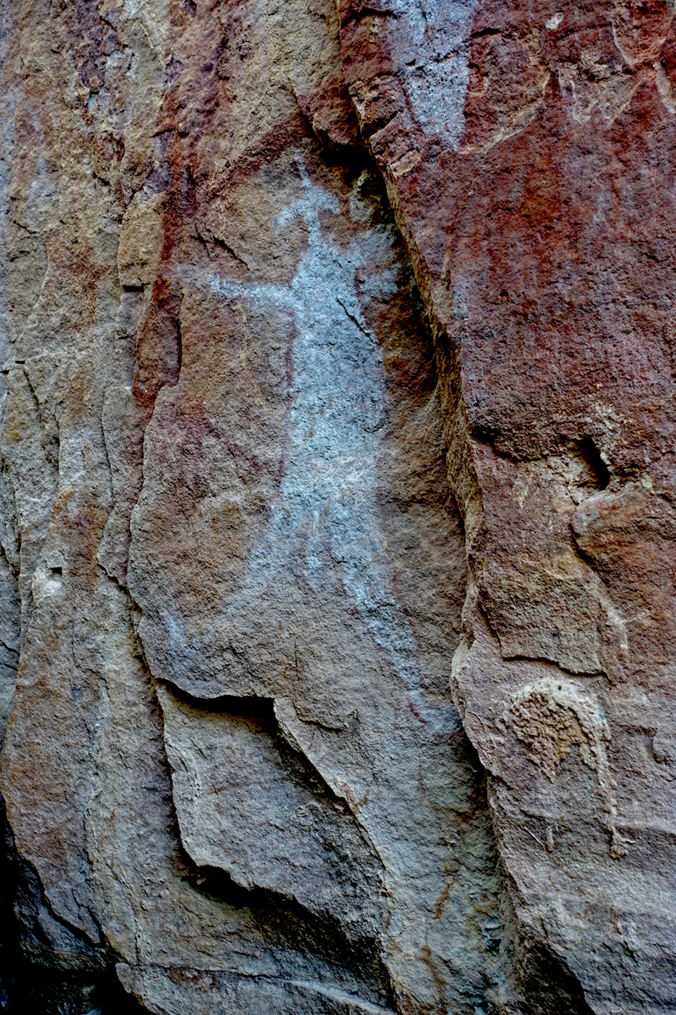 DSC03927quinkancloseupsm