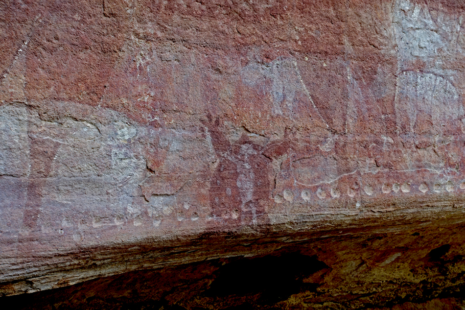 DSC03929wallarooandechidnacloseupsm