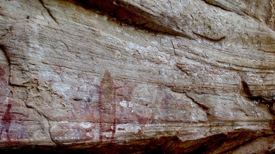 DSC03931cupulesendsm