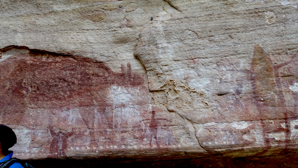 DSC03932endcupulessm