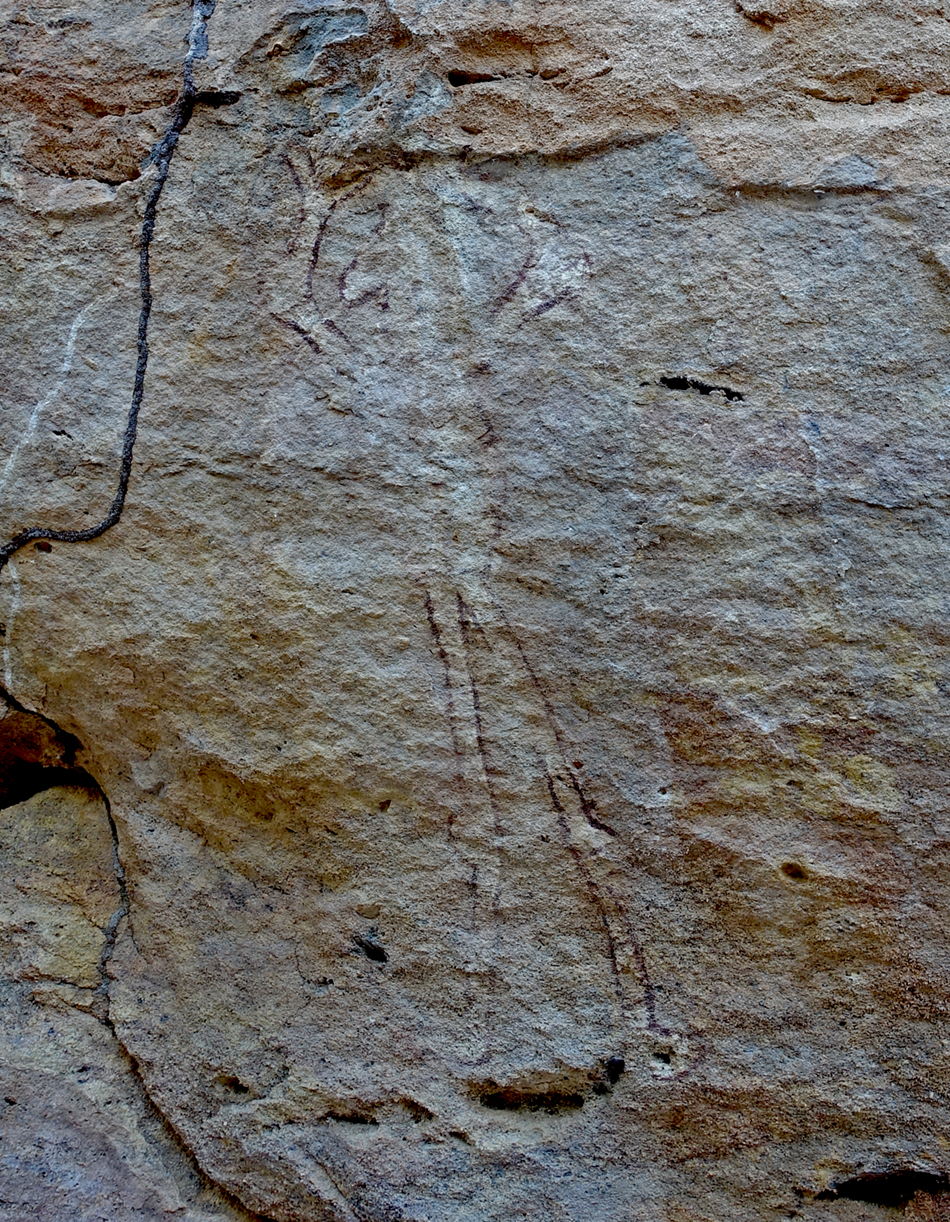 DSC03941quinkanisolatedsm