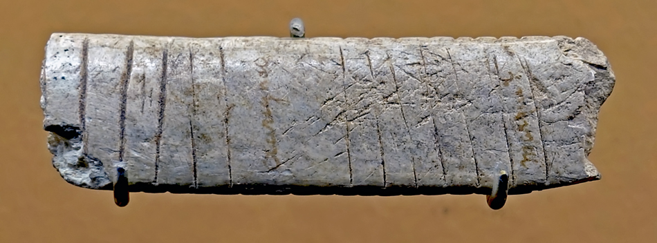 aurignacian