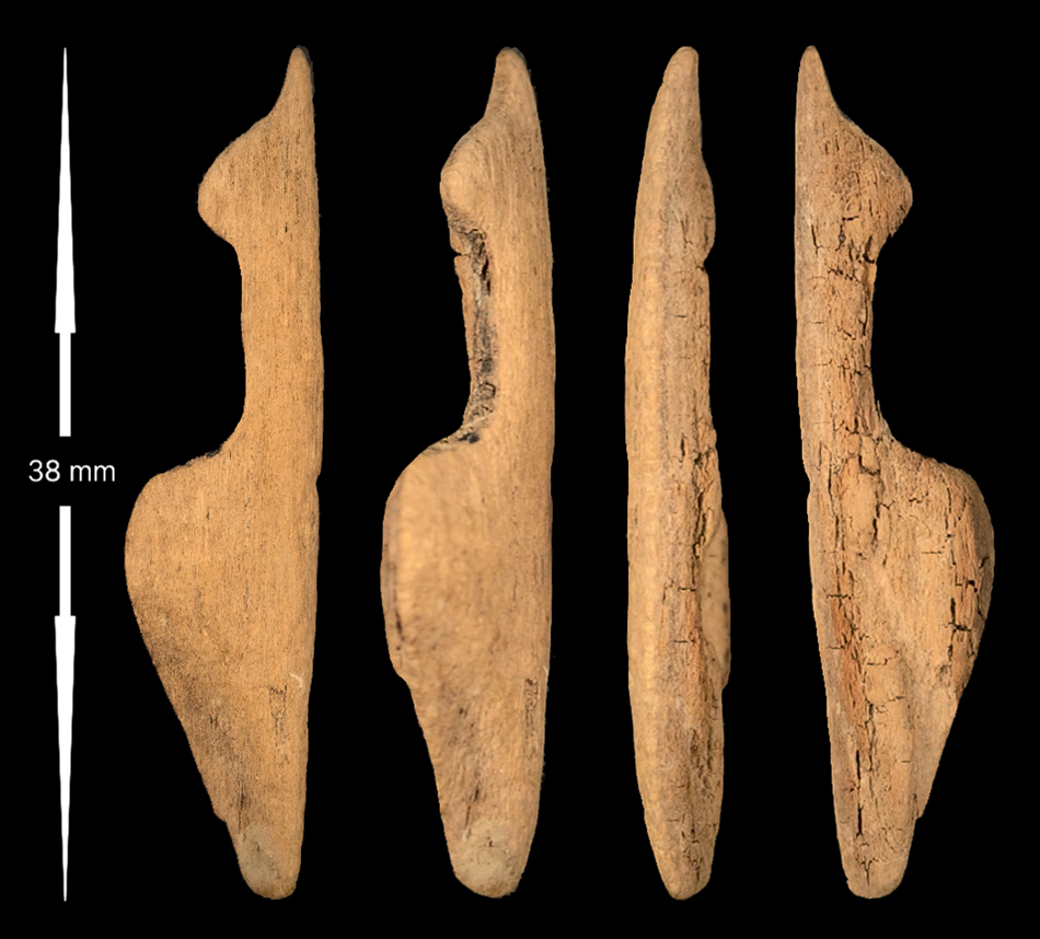 fossilwoodcarvingsm