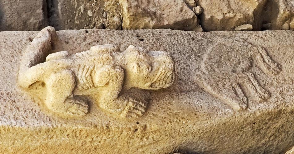 predator_Enclosure_Csm