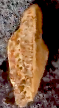 6microsymboliccarvingsm