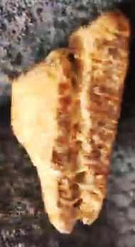 6microsymboliccarvingsm